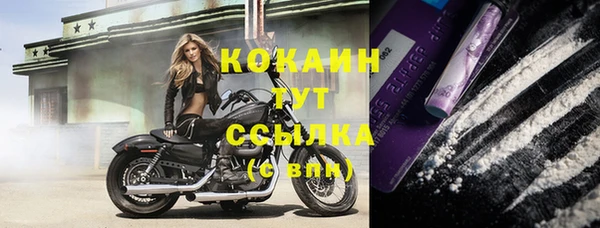 прущая мука Новозыбков